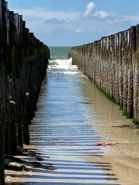 Duinstrand Burgh-Haamstede Kültér fotó