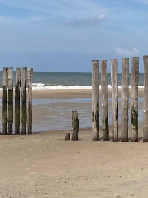 Duinstrand Burgh-Haamstede Kültér fotó