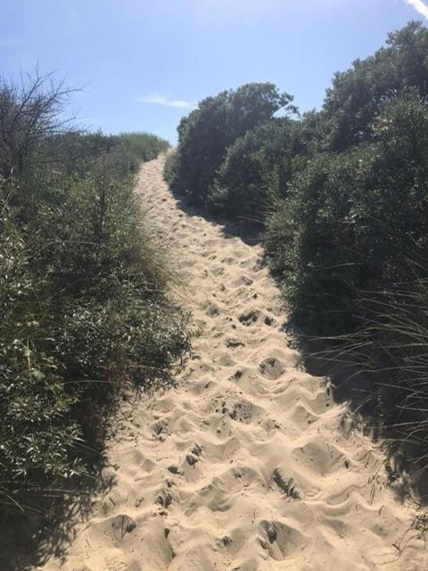 Duinstrand Burgh-Haamstede Kültér fotó